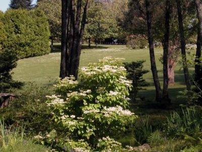 Entretien de parcs et jardins réalisé près de Pau (64)