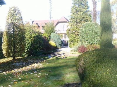 Entretien de jardin et taille de buissons réalisés près d’Oloron Sainte Marie (64)